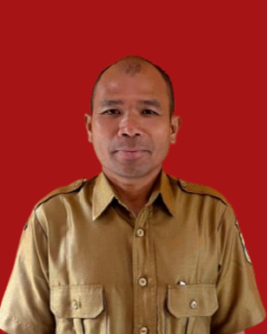 DARWIS PILIPPI MANIK